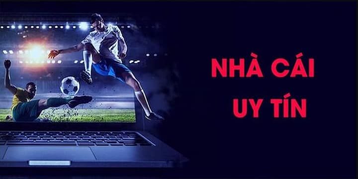 Nền tảng cá cược Wildio uy tín, an toàn